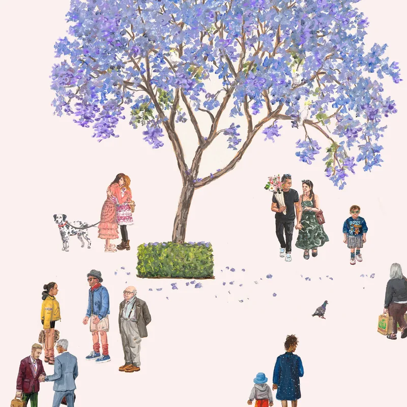 The Jacaranda Tree